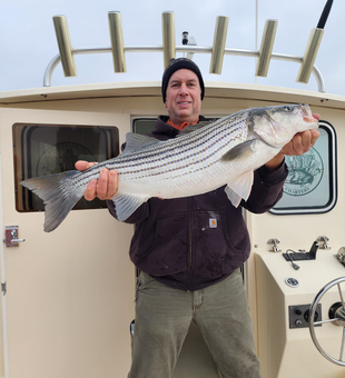 Striped Bass: NYC's finest catch